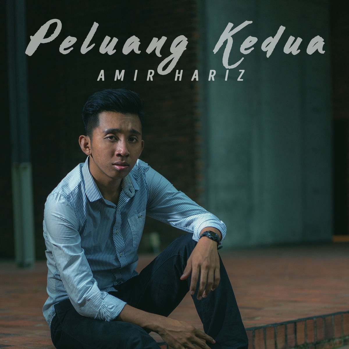 Amir Hariz