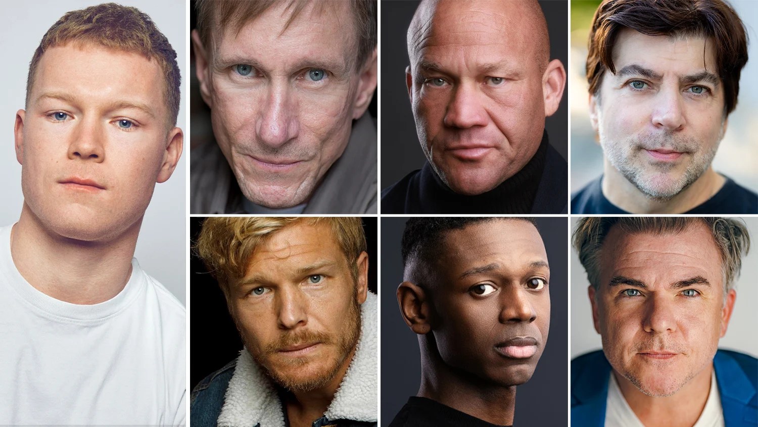 Andrew Haas / Giancarlo Nicassio / Ian Franzino / Jacob Torrey / Michael Matosic / Sarah Blackwood