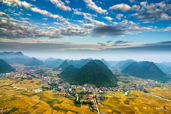 Ngủ bên chân mẹ