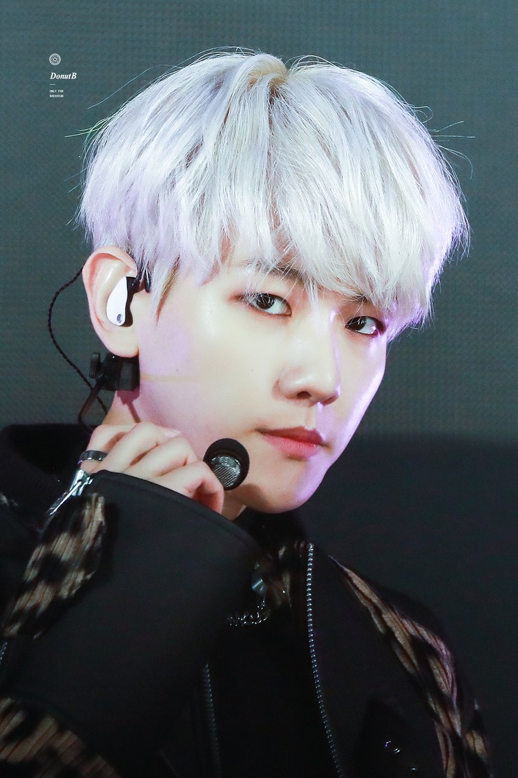 백현 (BAEKHYUN)