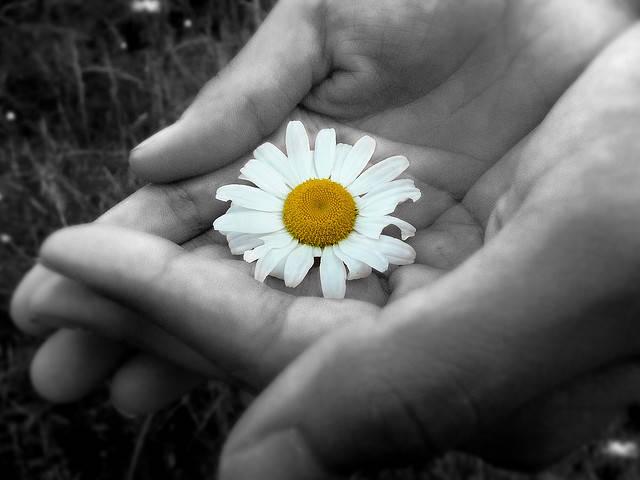 Để Em Cười Như Xưa