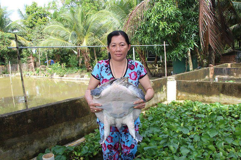 Ba Trọng