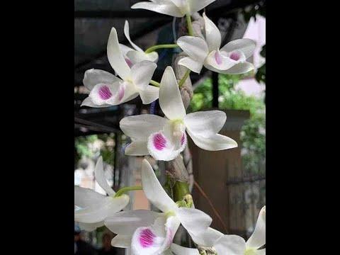 Gửi nắng cho em