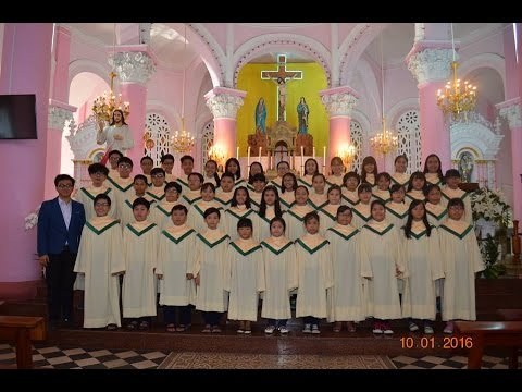 Ca đoàn Thiếu Nhi Gx. Tân Định