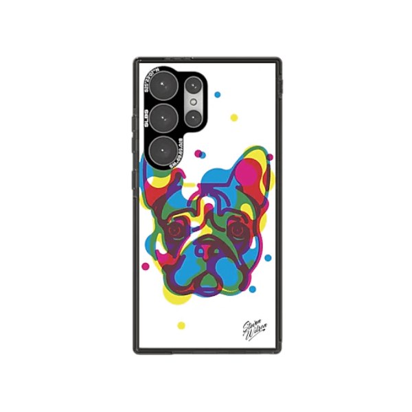 Case