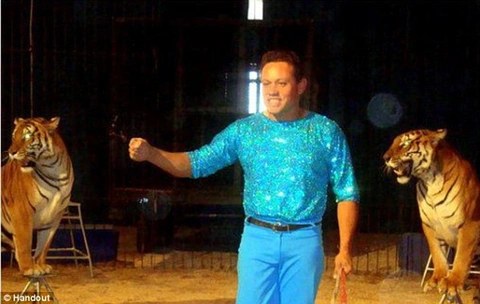 Cheezestereo
