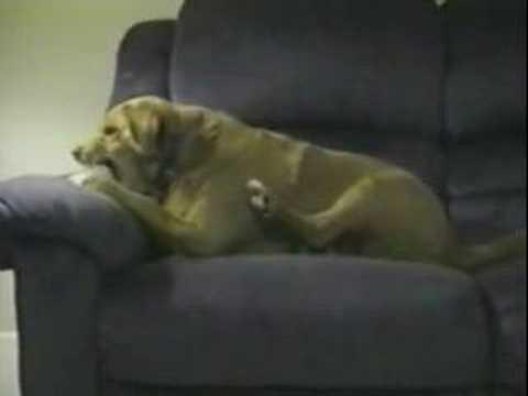 Nhật Ký Hà Nội