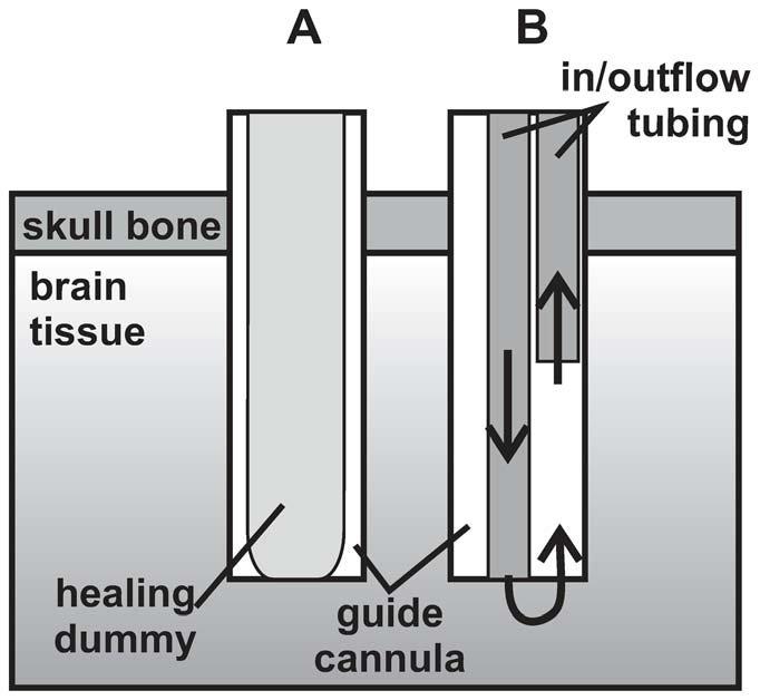 Mashup Ai đưa em về nếu một ngày chúng ta không còn gặp (adevnmnctkcg)