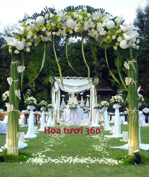 Mừng Tết Việt Nam