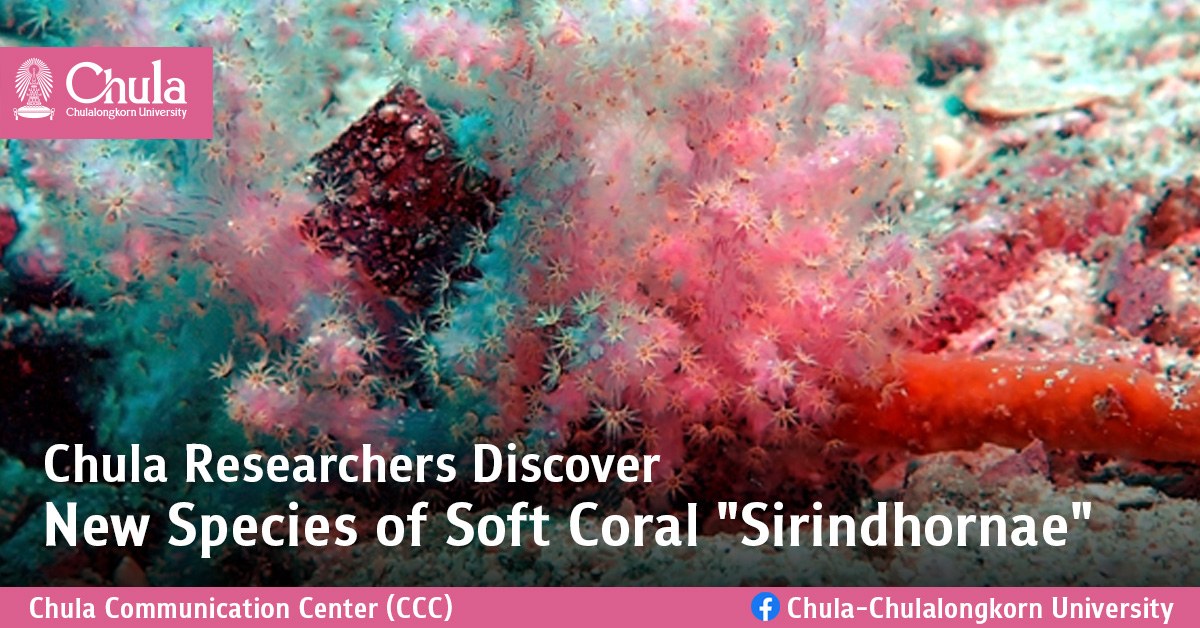 Coral