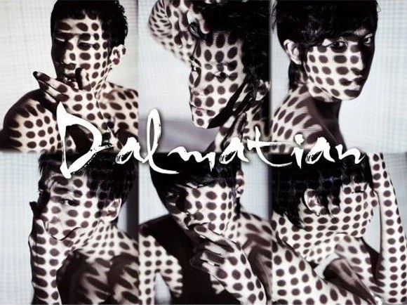 Dalmatian / DMTN