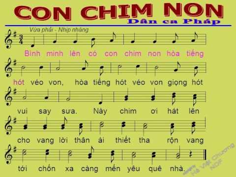 Cám Ơn Người (Tri Ân)