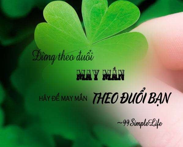 Đến từ A Mạn (来自阿曼)