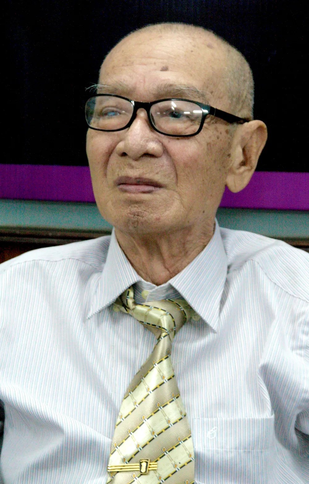 Đinh Bồi Phong (丁培峰)