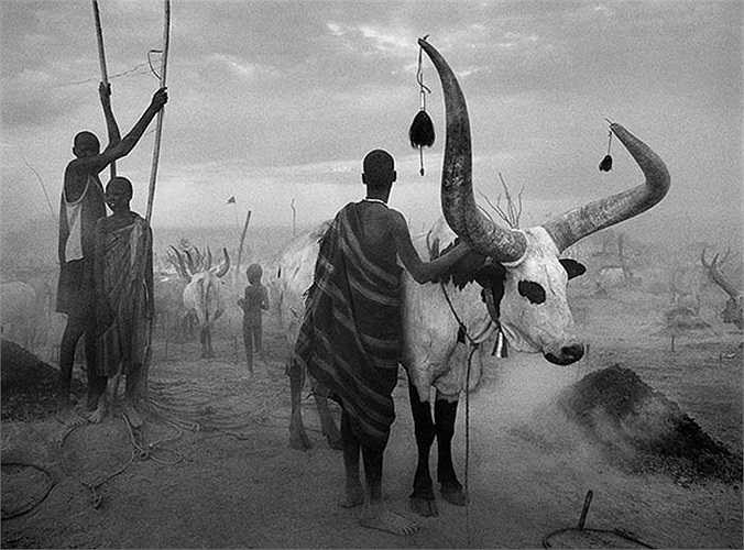 Dinka