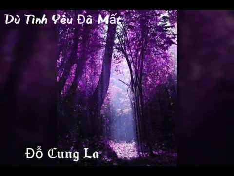 Dù Tình Yêu Đã Mất