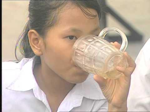 Đại Ngư (Đại Ngư Hải Đường OST - 大鱼)