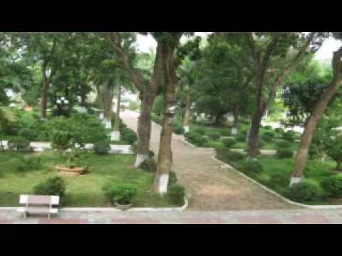 Tình Ta Một Thời 