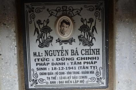 Liên khúc Đêm buồn tỉnh lẻ & Những đồi hoa sim
