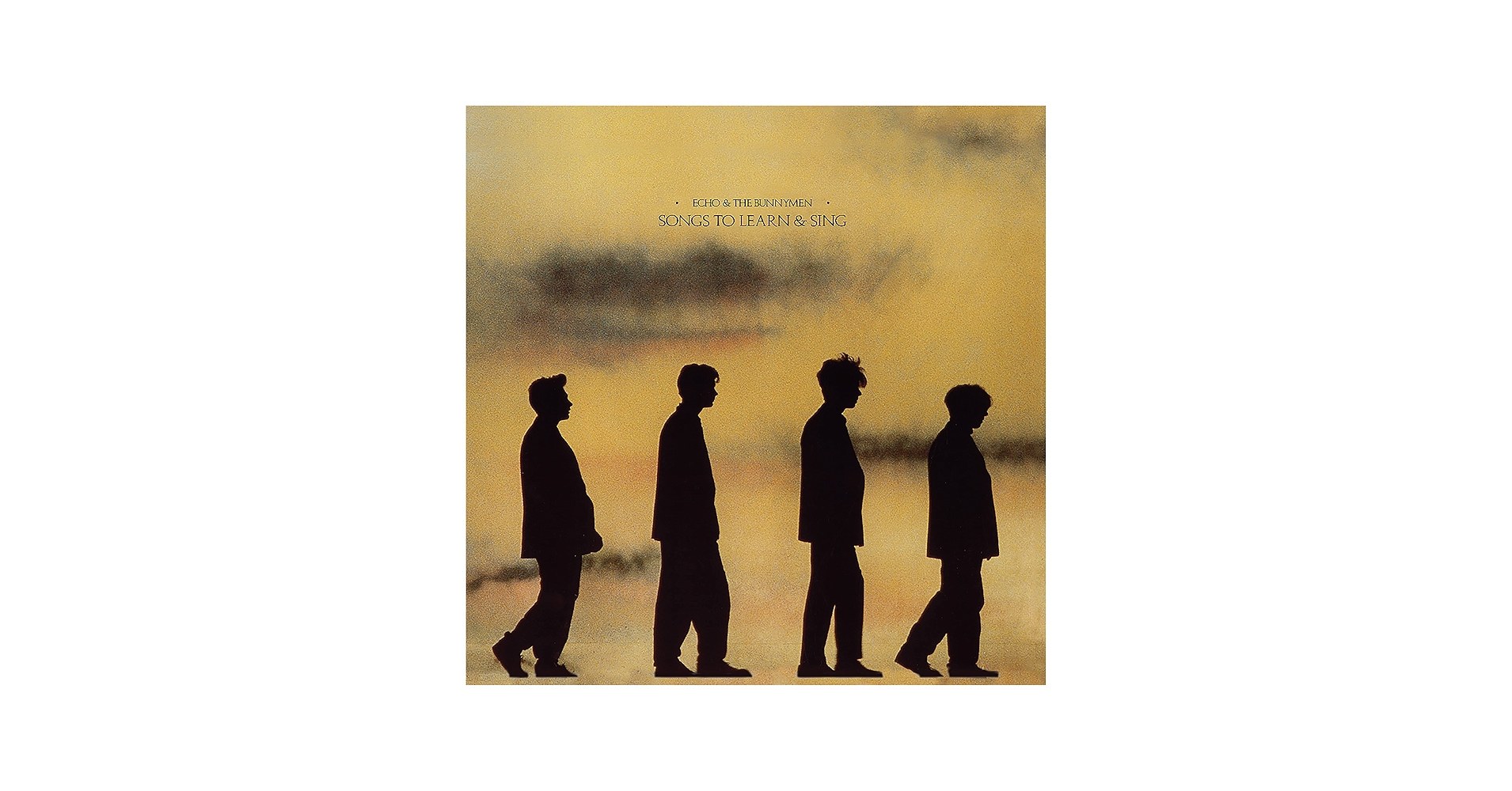 Echo And The Bunnymen