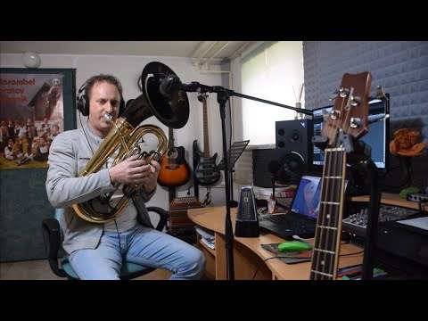Goldried Quintett