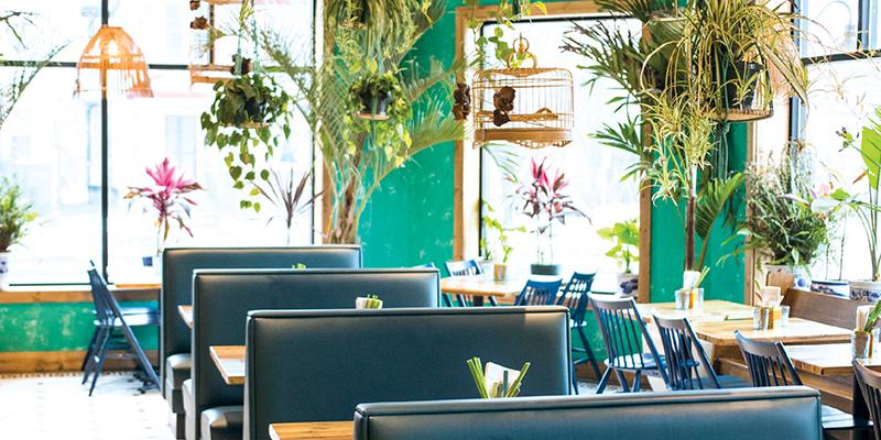 Ông trời làm khổ anh chưa