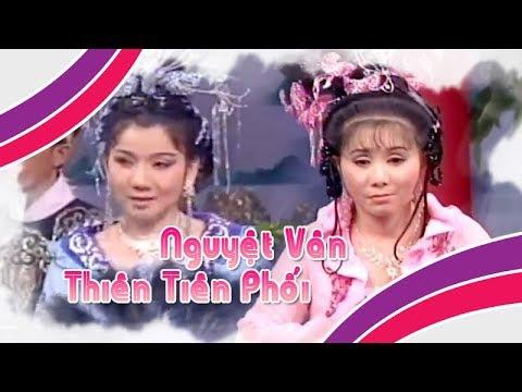 Hoa Và Chim