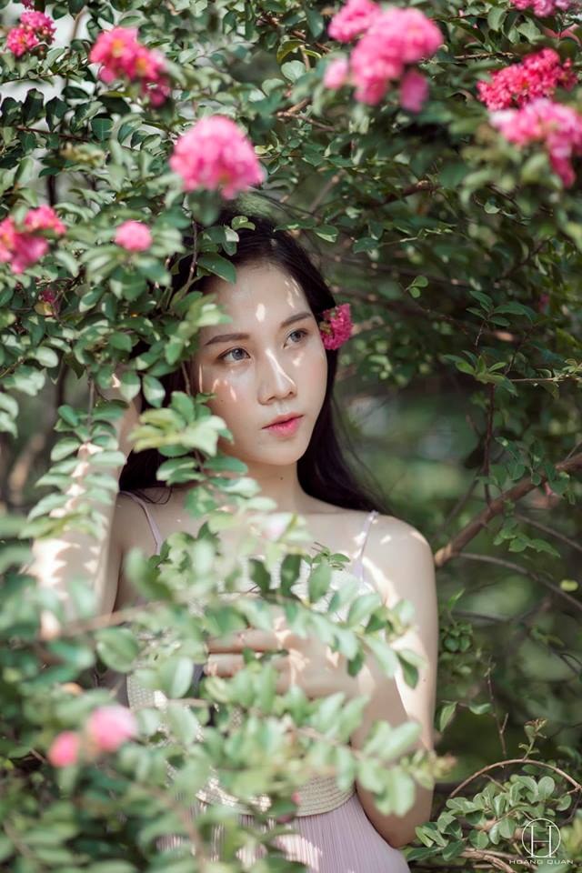 Hoa Tường Vi