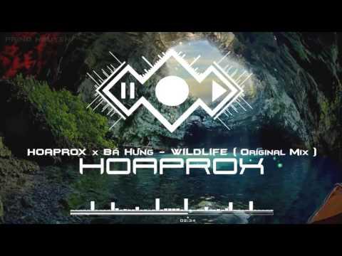Hoaprox Ba Hung
