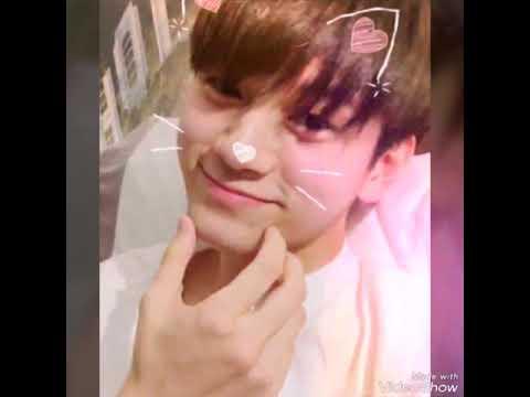 HoneyJaemVN