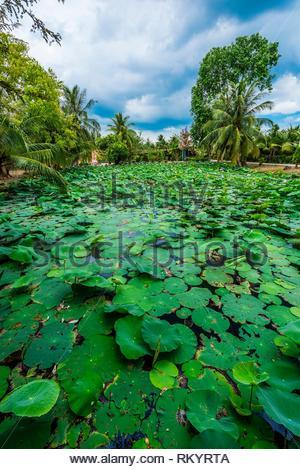 Đêm Thánh Vô Cùng (silent night)