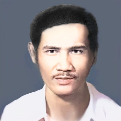 Hữu Nội