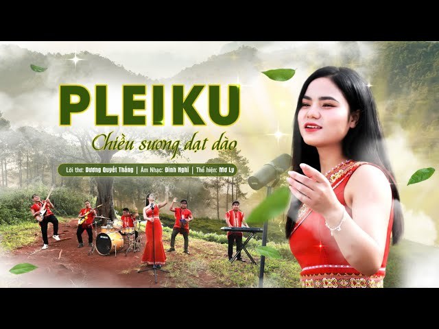 HY PLEIKU