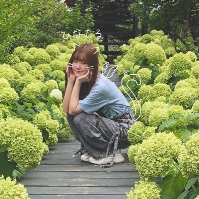 ひなもる