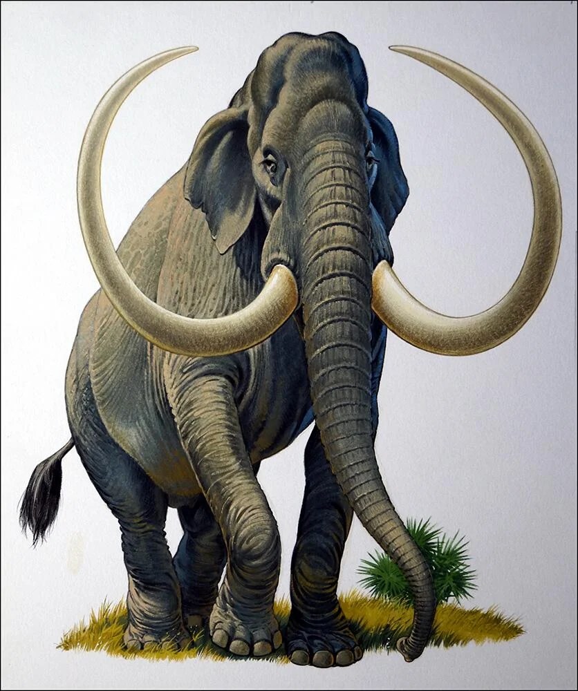 Imperial Mammoth