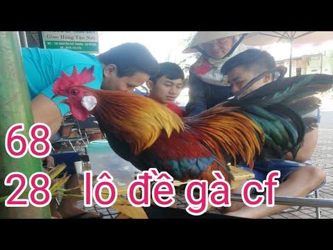 Cô Gái Mái Tóc Ngắn Ngang Vai