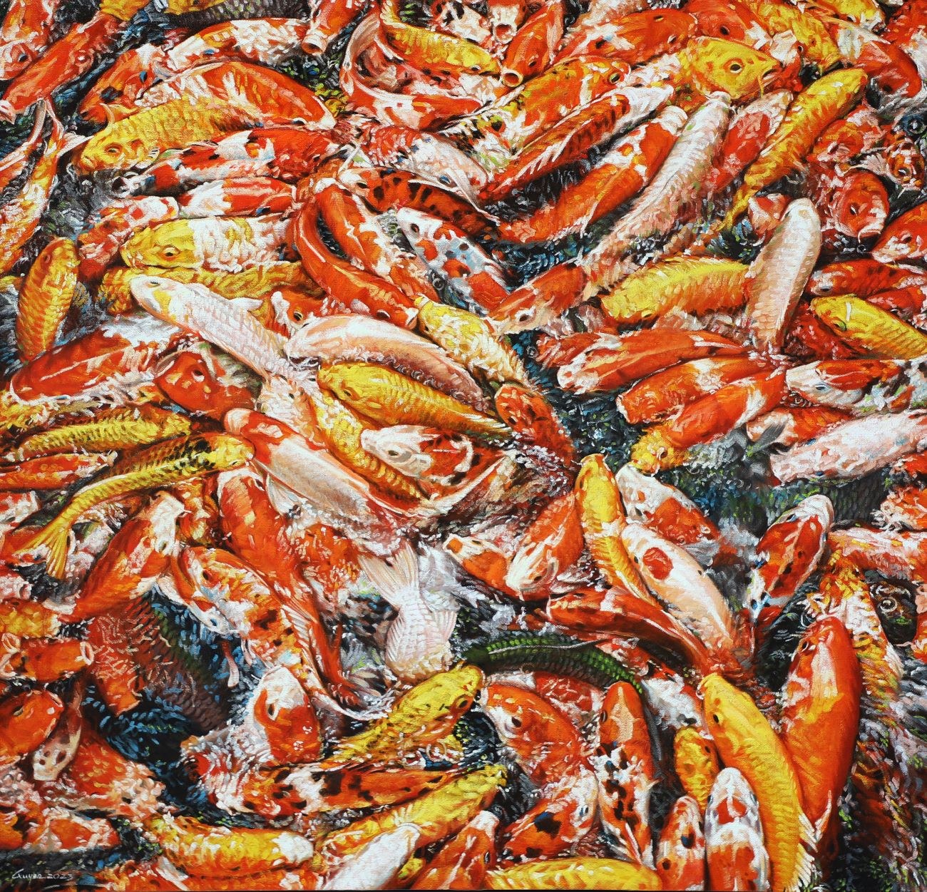  Koi