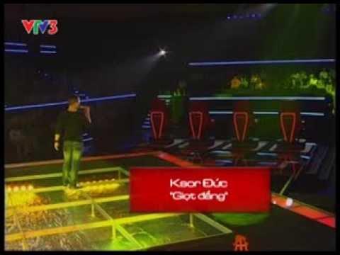 Hoa vàng trên cao nguyên