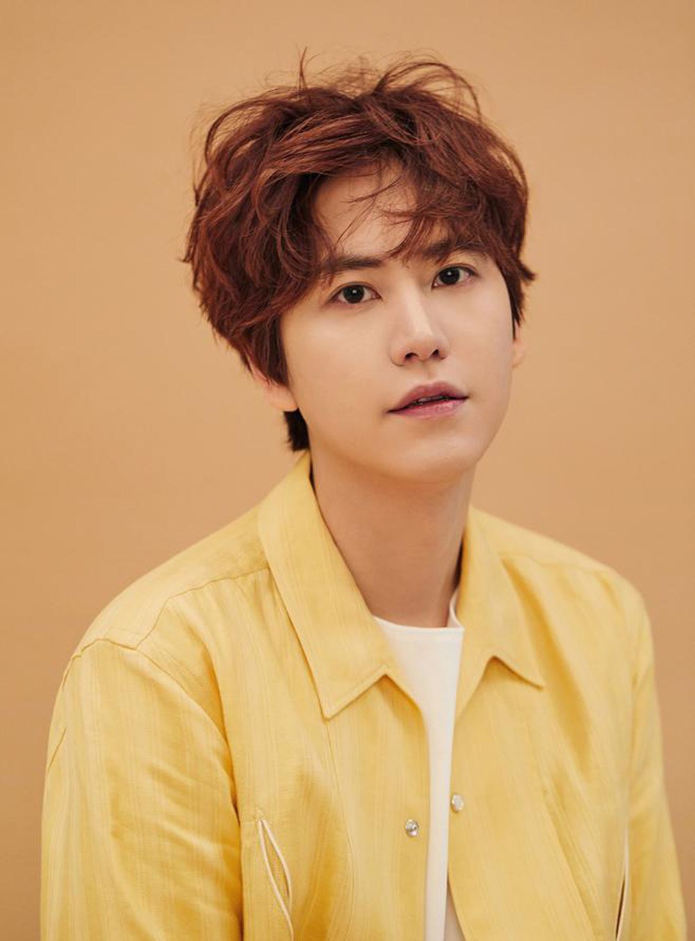 Kyu Hyun (Super Junior)