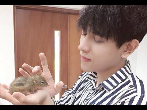 Người cuối cùng của anh