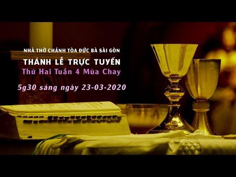 Tiếng Còi Trong Sương Đêm