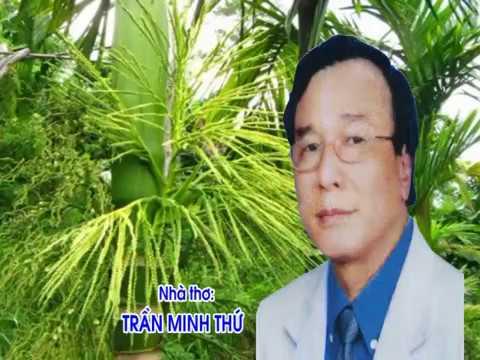 Mái Trường Đại Dương