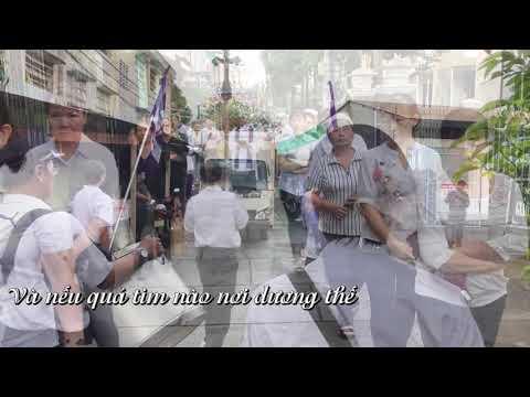 Tình khúc Mân Côi