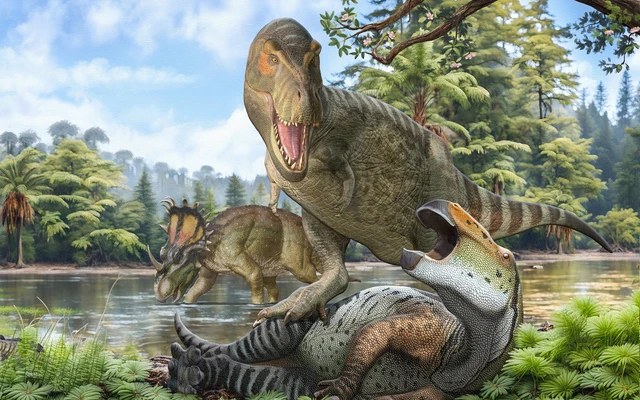 Long Rex