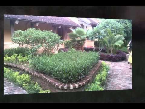 Bóng Mát Tình Cha