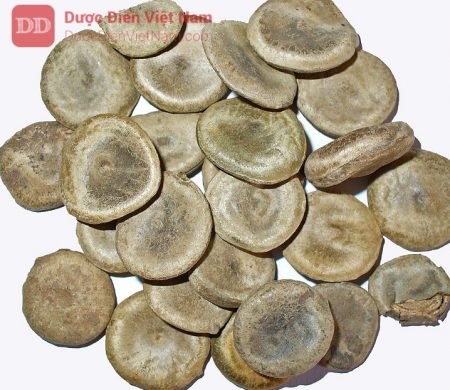 Mã Dược Triển