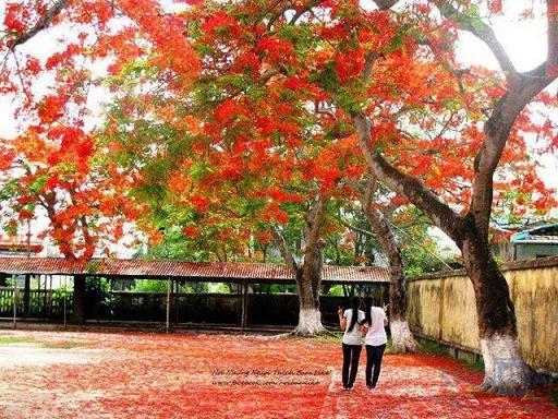 Mai em lấy chồng