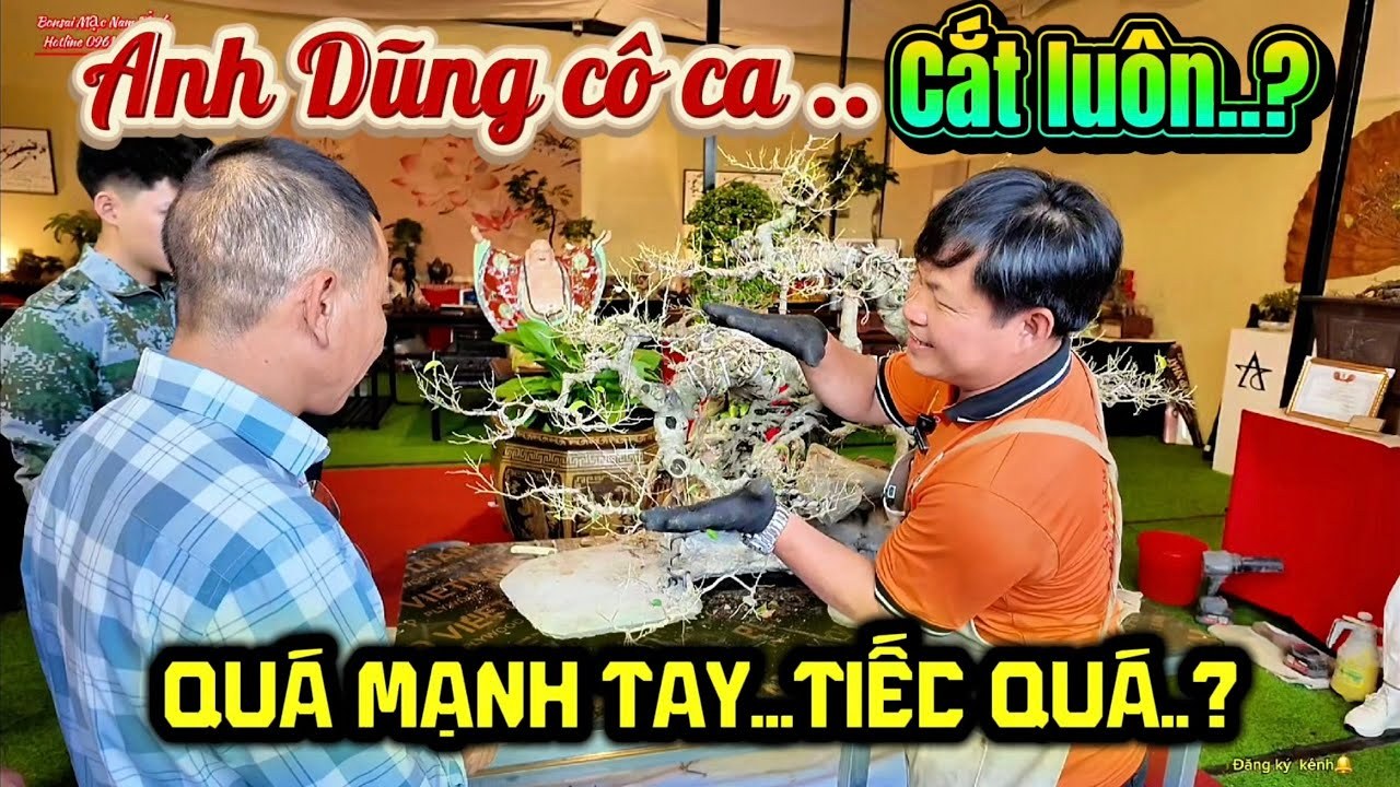 Mr-Tuk Bo-Tree