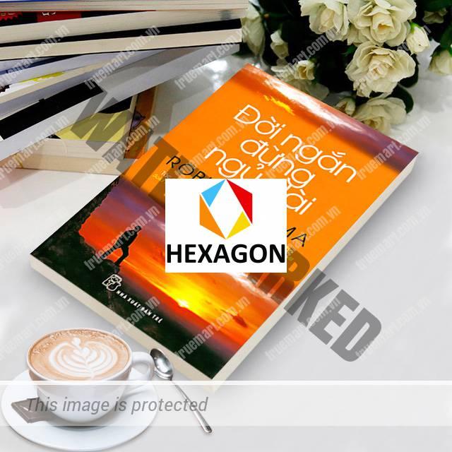 Bạn một quãng đời 