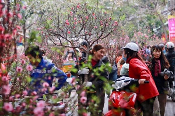 Chúng Con Canh Giấc Ngủ Của Người